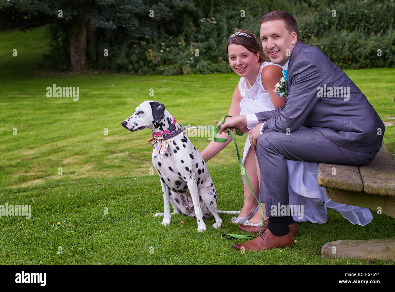 Sposa e lo sposo e il loro cane presso le loro nozze. Dalmazia con la sua recente wed proprietari. Foto Stock