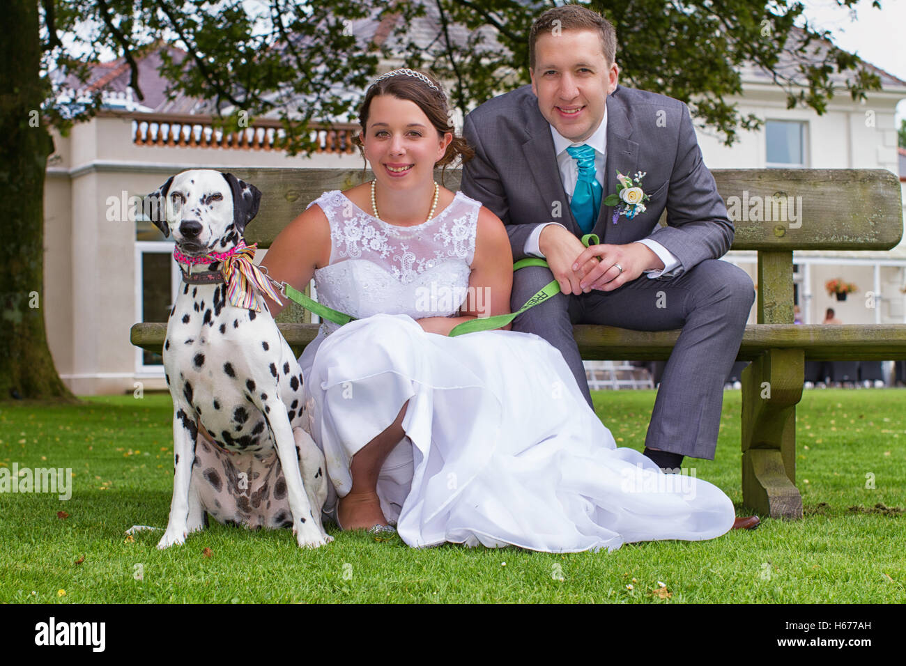 Sposa e lo sposo e il loro cane presso le loro nozze. Dalmazia con la sua recente wed proprietari. Foto Stock