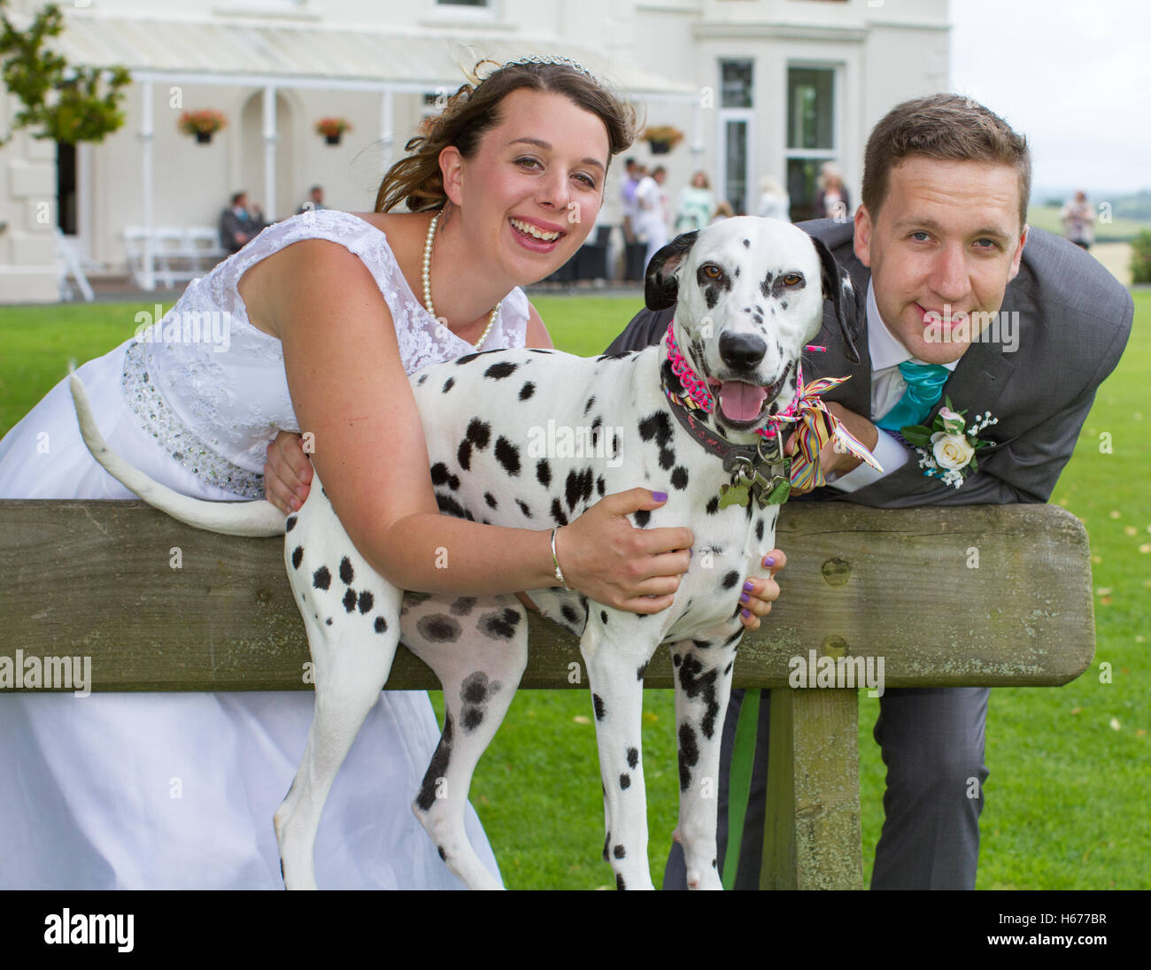 Sposa e lo sposo e il loro cane il giorno delle nozze. Dalmazia con la sua recente wed proprietari. Foto Stock