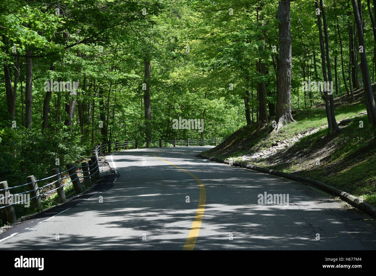 Strada a molla con alberi di ombra, la luce solare e le ombre Foto Stock