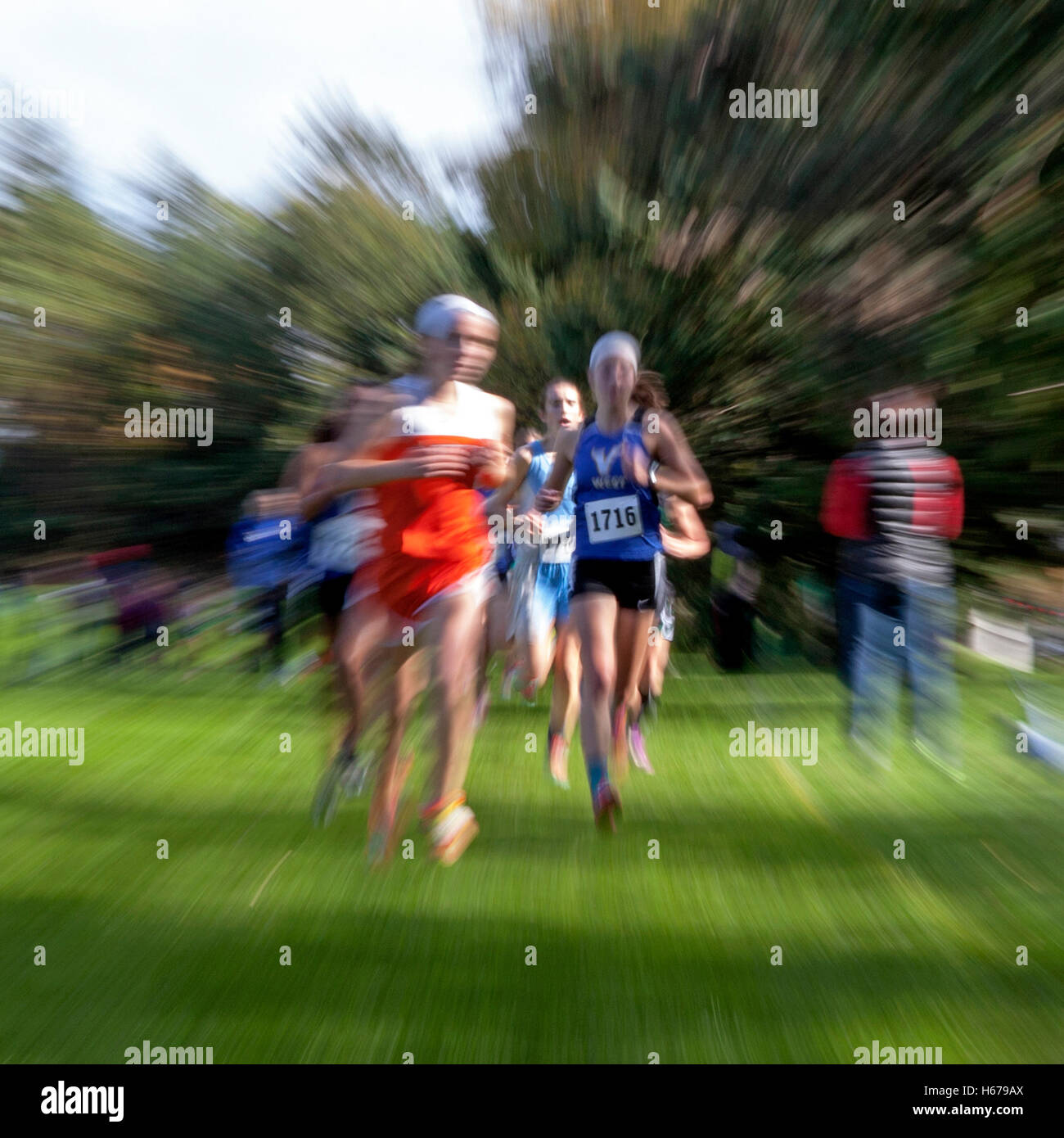 Guide di scorrimento in Wisconsin High School girls' Cross Country incontro di sezione. Foto Stock