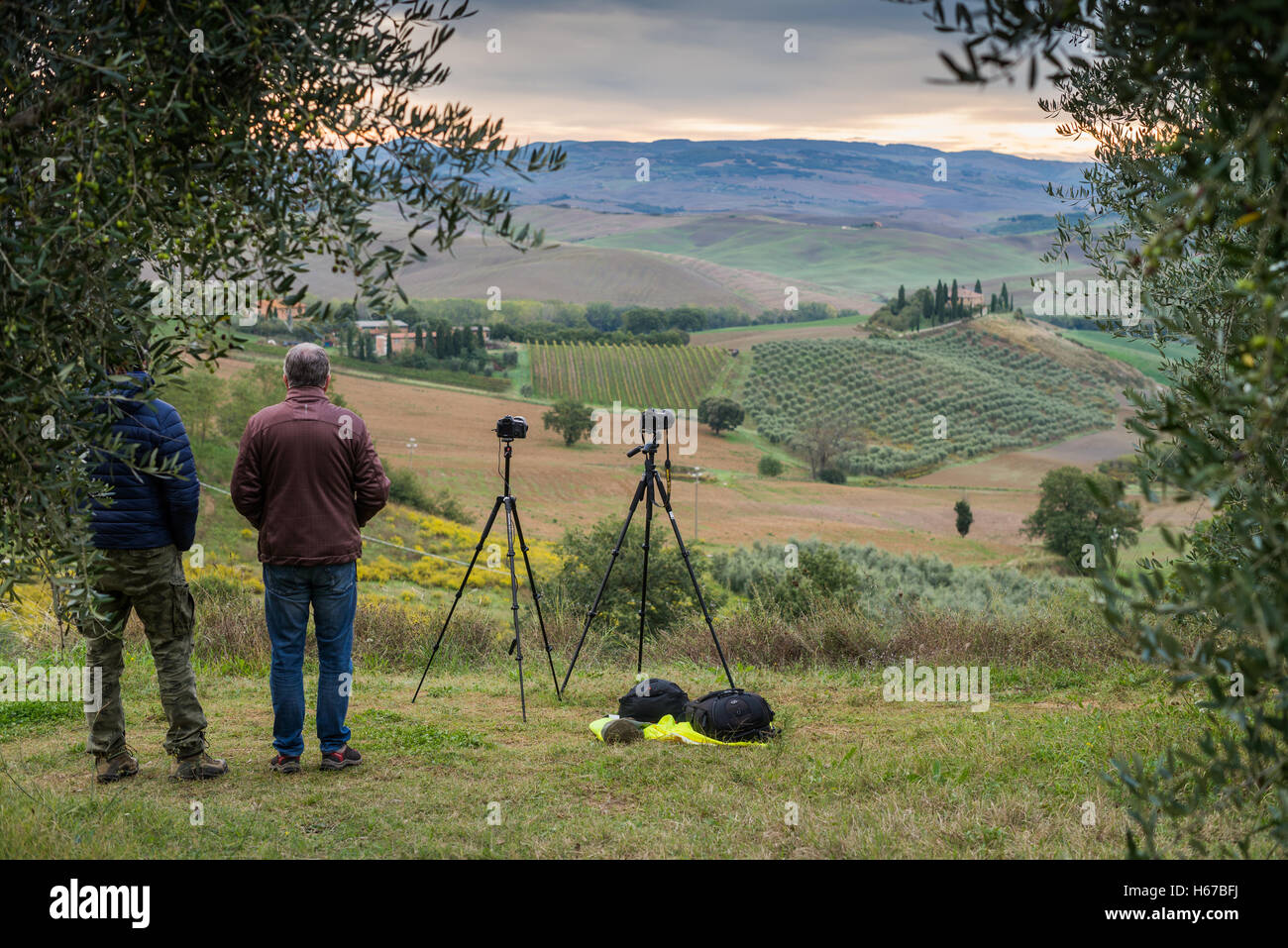 I fotografi in attesa dell'alba in Val d'Orcia, Toscana, Italia, Europa. Foto Stock