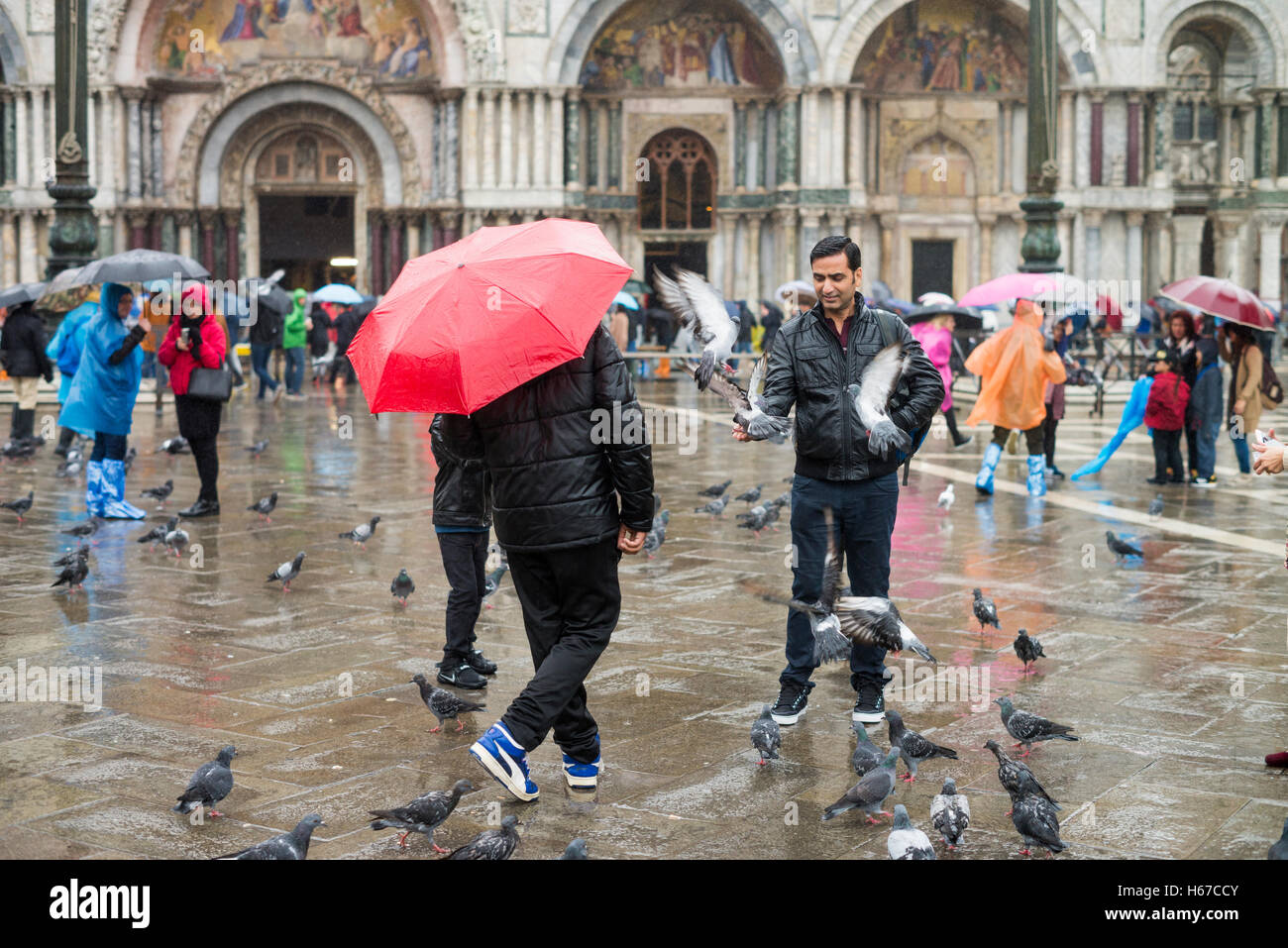 Turisti e Piccioni in Piazza San Marco, Venezia, Italia Foto Stock