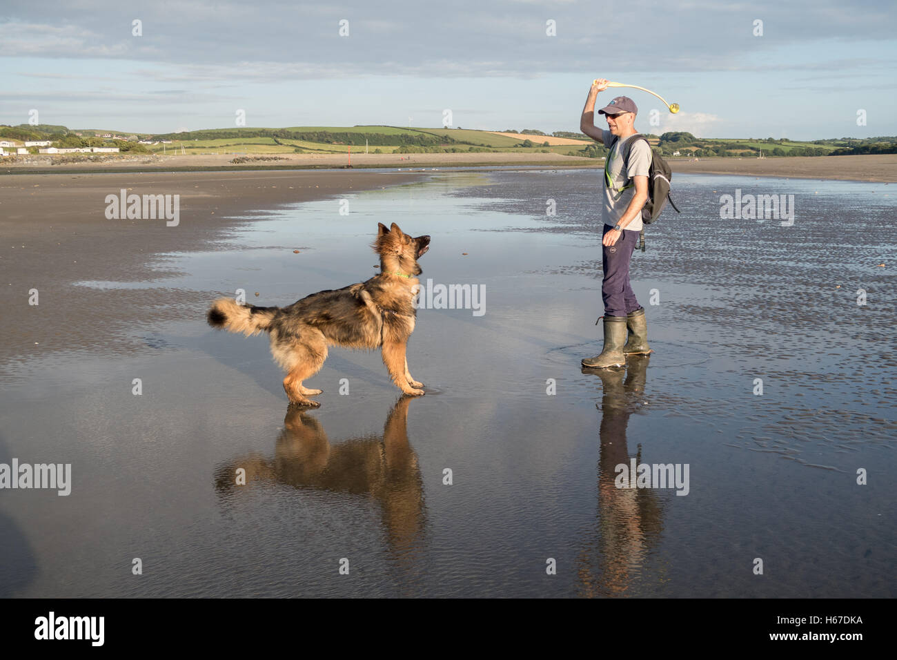 Uomo di gettare una sfera per il suo cane sulla spiaggia. Essi si divertono giocando a un gioco insieme Foto Stock