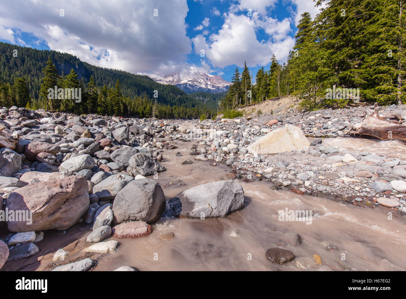Ripresa a tutto campo della Nisqually fiume che scorre da Mt. Rainier. Foto Stock