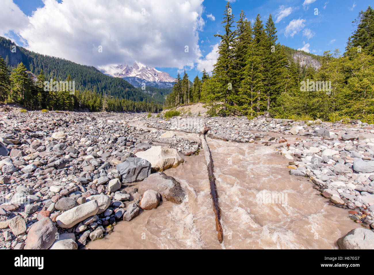 Ripresa a tutto campo della Nisqually fiume che scorre da Mt. Rainier. Foto Stock