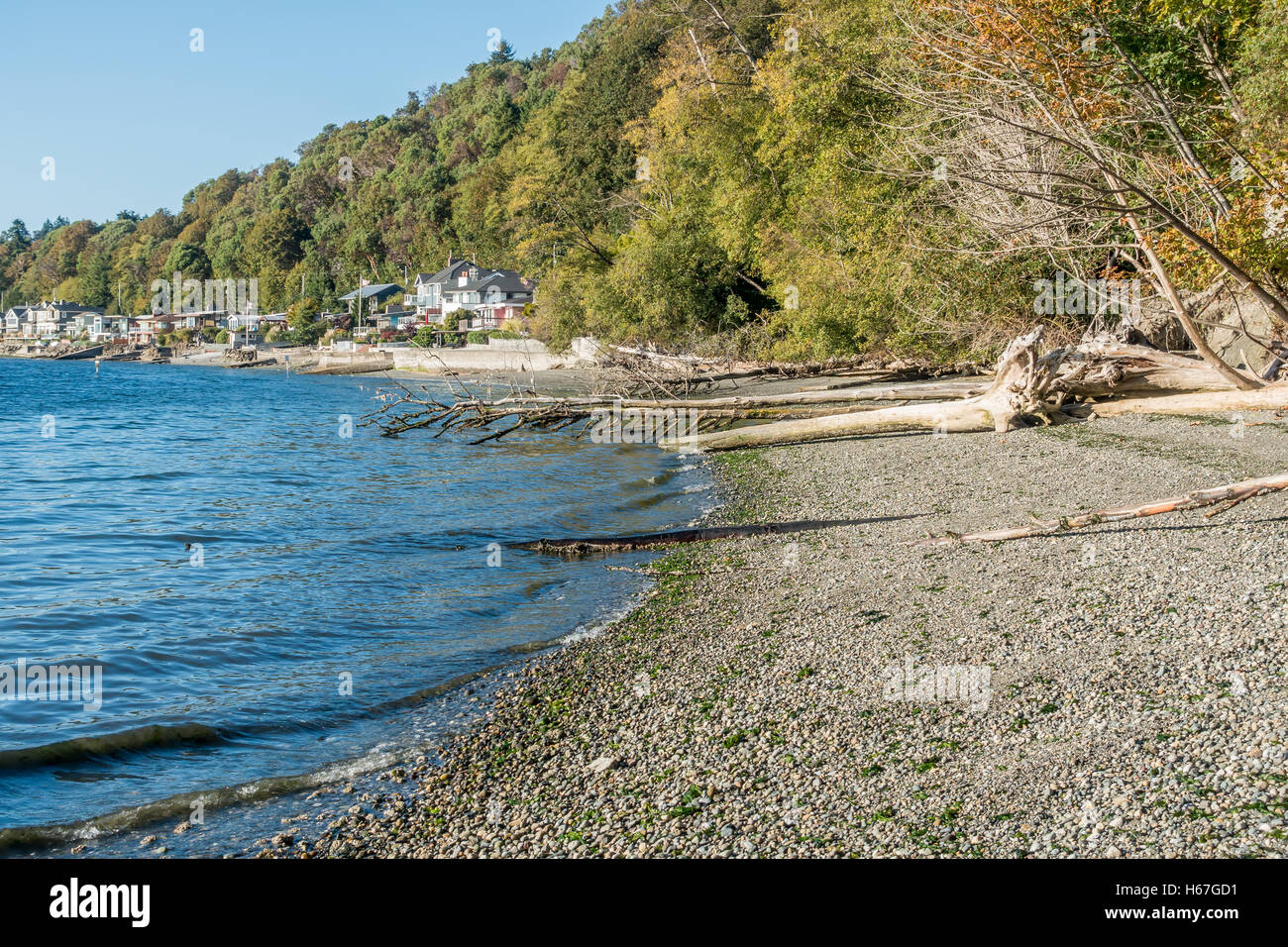Le case si affacciano al Puget Sound all'estremità nord della spiaggia di Seahurst in Burien, Washington. Foto Stock