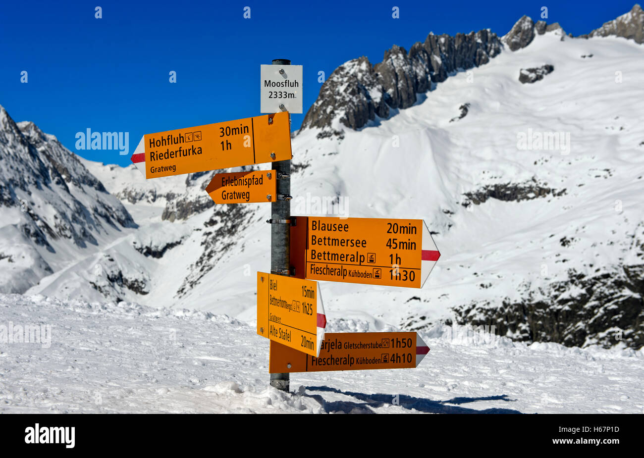 Segno direzionale in piedi nella neve profonda presso il punto di vista Moosfluh nel ghiacciaio di Aletsch regione, Riederalp, Vallese, Svizzera Foto Stock
