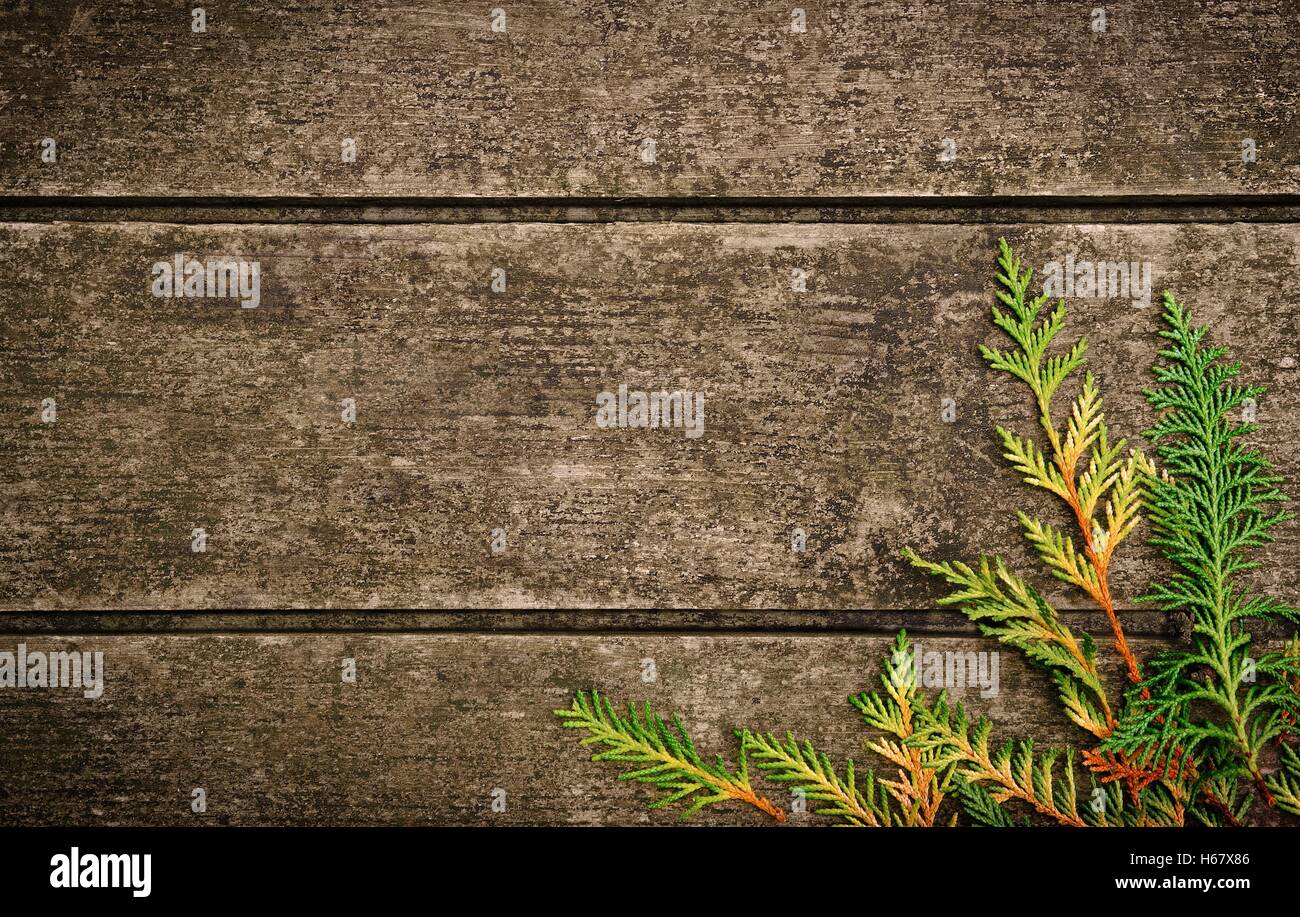 Sullo sfondo di un vecchio weathered superficie in Legno di caduto foglie in autunno Foto Stock