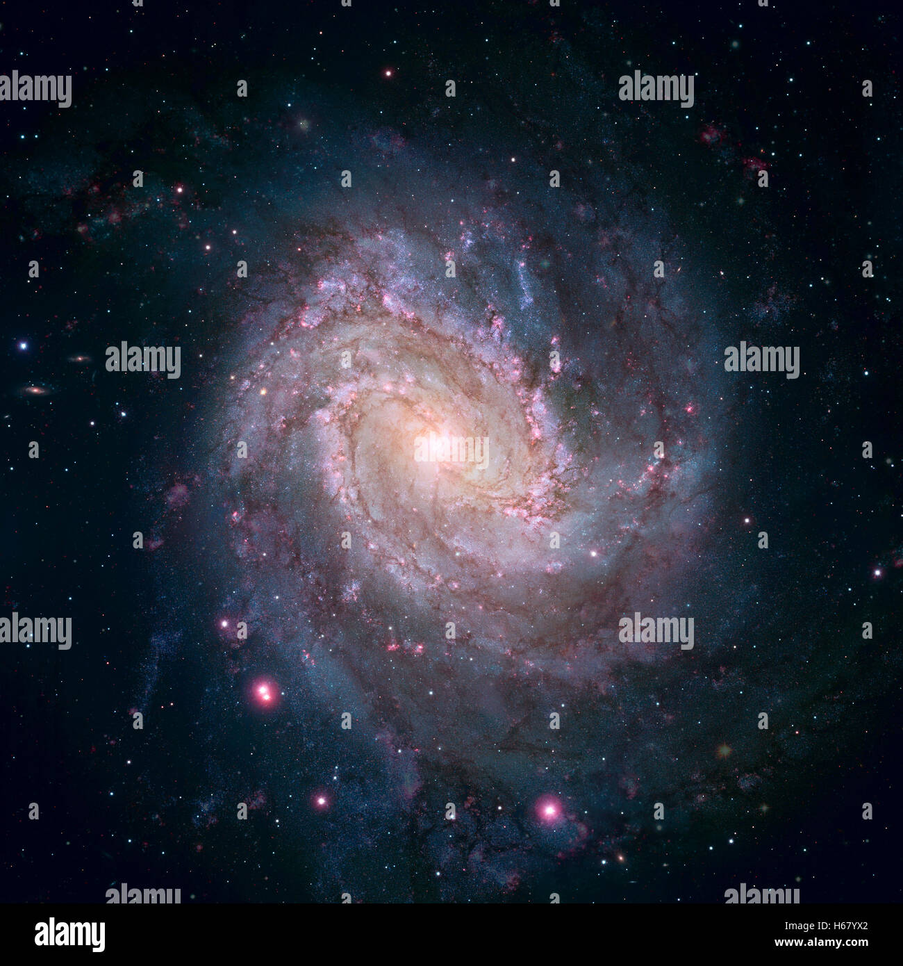 Messier 83, Southern girandola galassia M83 o NGC 5236 è un impedito galassia a spirale nella costellazione Hydra. Foto Stock