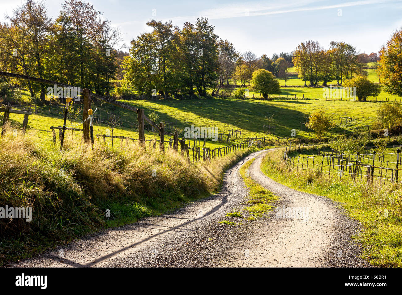 Una strada di campagna tra il verde dei prati. Foto Stock