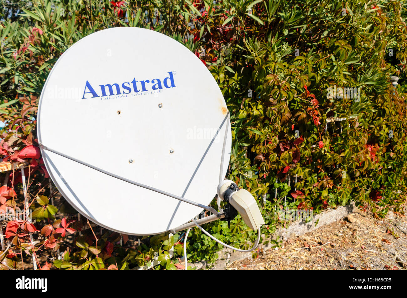 Amstrad antenna parabolica montata su un recinto accanto a una bussola. Foto Stock