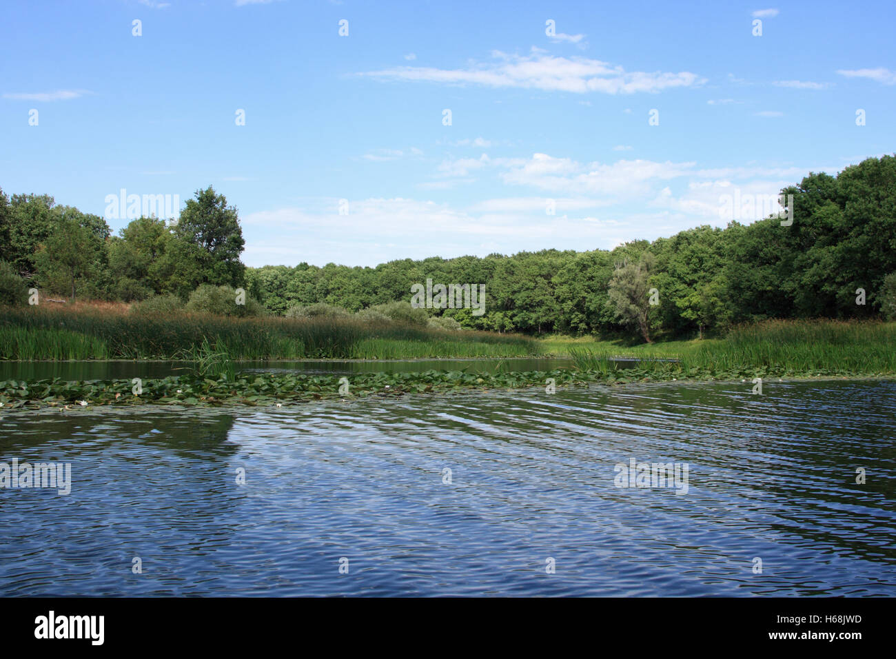 Tranquillo Lago in legno in estate giornata di sole Foto Stock