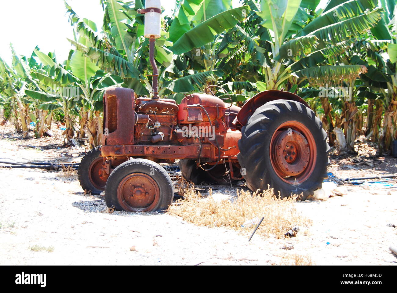 Rusty vecchio trattore Foto Stock