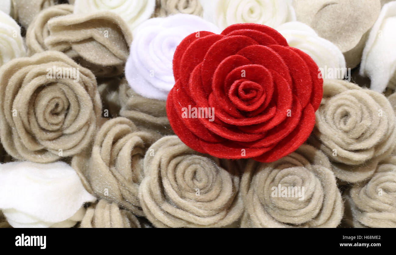 Single red rose e molte rose tessuto Foto Stock