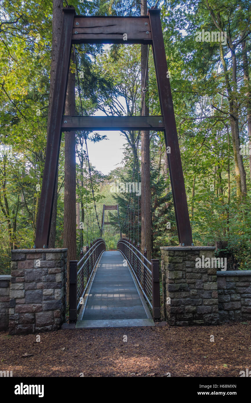 Una vista di un ponte di sospensione circondato da alberi a Bellevue, Washington. Foto Stock