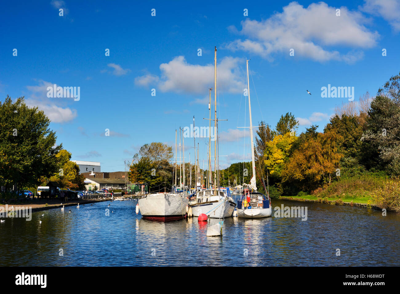 Barche a vela ormeggiata sulla St Helens canal vicino al fiume Mersey nella West Bank, Widnes. Foto Stock