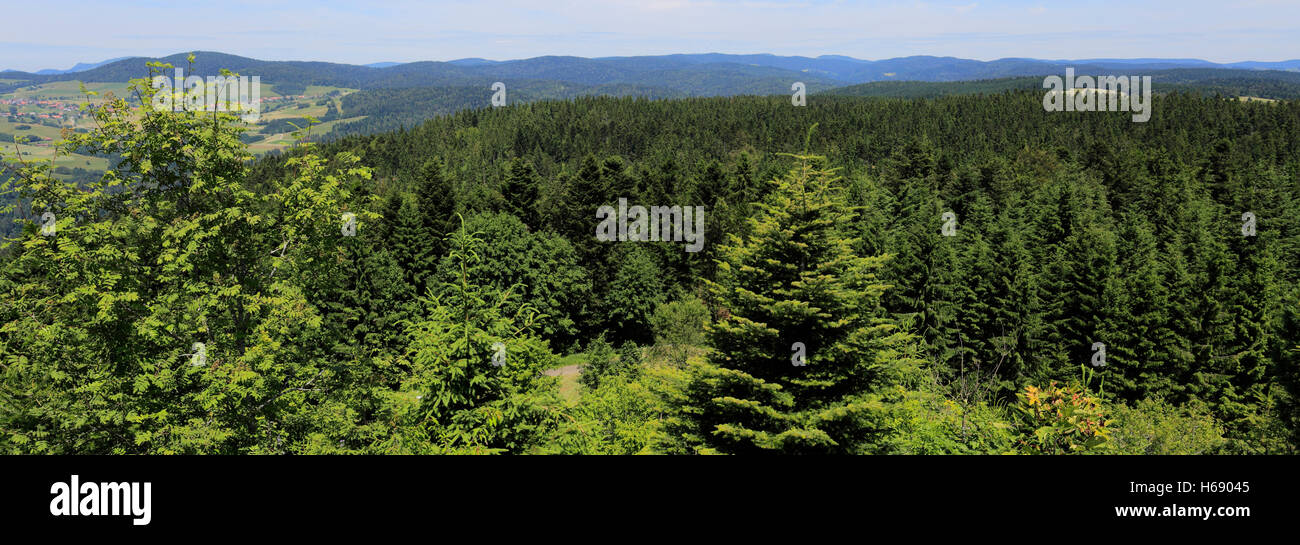 Estate vista sulla Foresta Nera vicino a Todtmoos town, Baden-Wuerttemberg, Germania, Europa Foto Stock