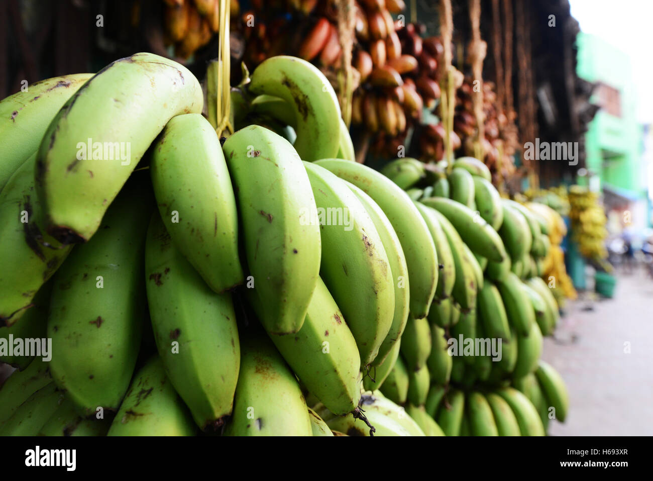 Colorate le banane vendute al mercato della banana a Madurai, India. Foto Stock