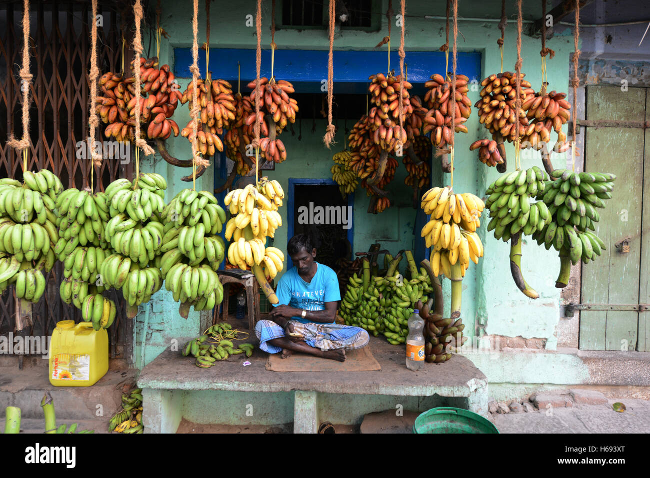 Colorate le banane vendute al mercato della banana a Madurai, India. Foto Stock