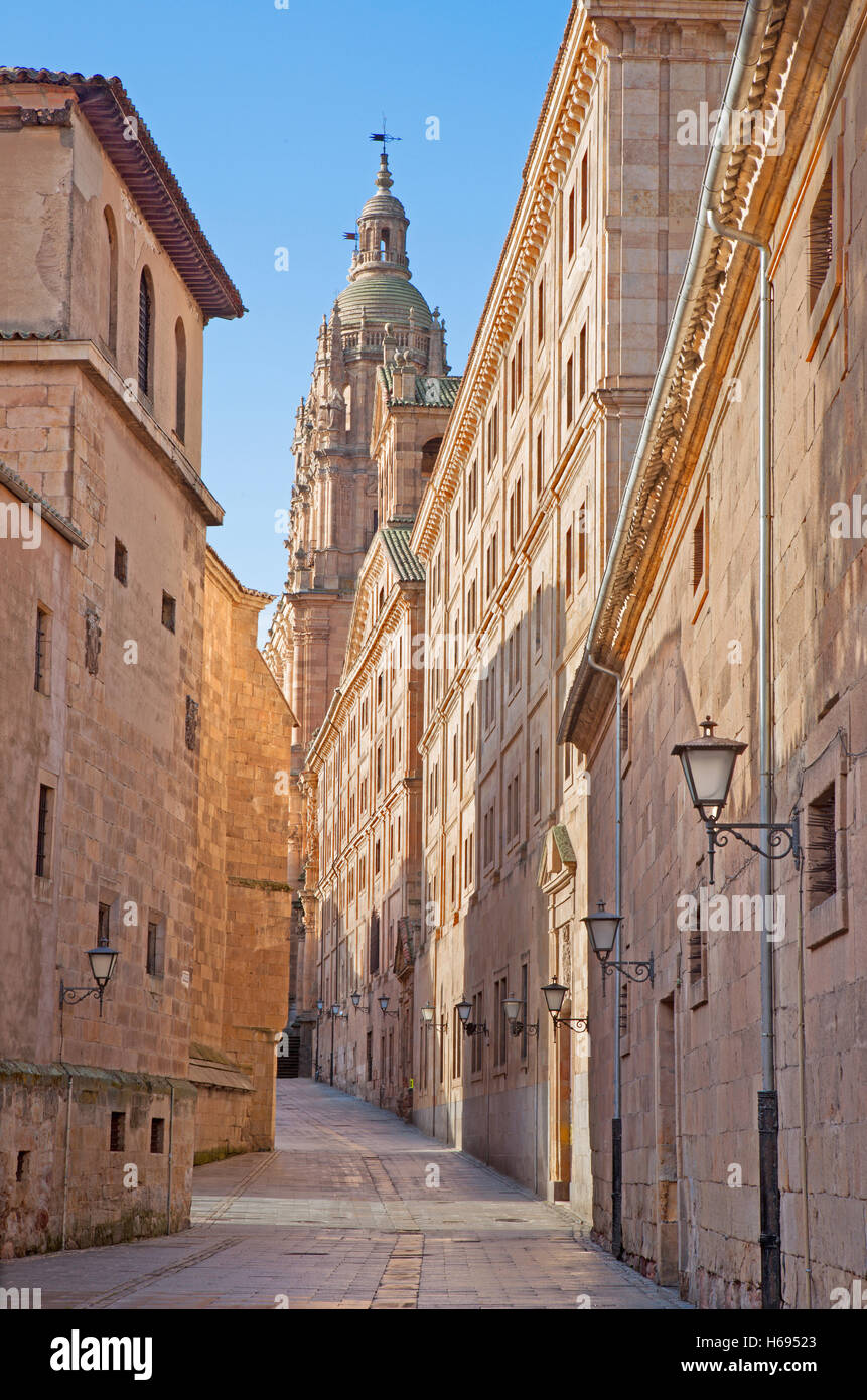 Salamanca - Calle Compania street e il portale barocco La Clerecia - Pontificia Università. Foto Stock