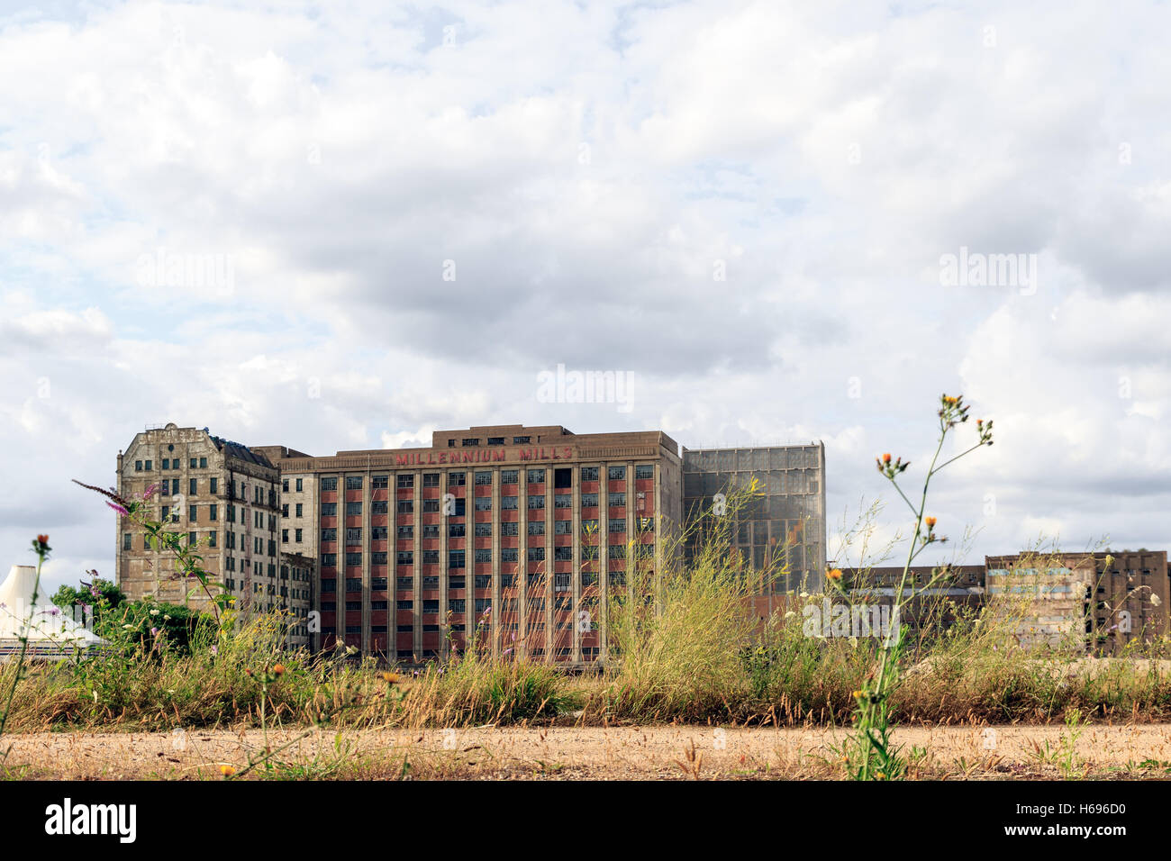 Edificio abbandonato del millennio Mills, ex mulini per farina costruita nei primi anni del XX secolo Foto Stock