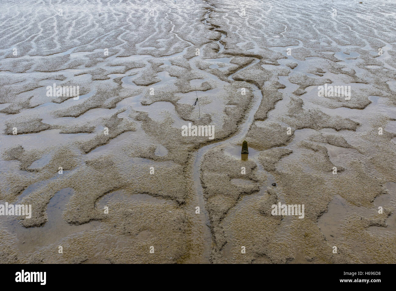 La natura astratta: fango appaiono a bassa marea lungo il fiume Tamigi Foto Stock