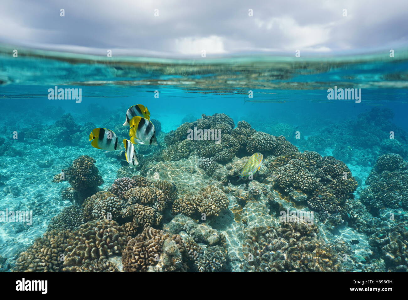 Shallow Coral reef con pesci tropicali sott'acqua e cielo nuvoloso diviso dalla linea di galleggiamento, Rangiroa, oceano pacifico, Polinesia Francese Foto Stock