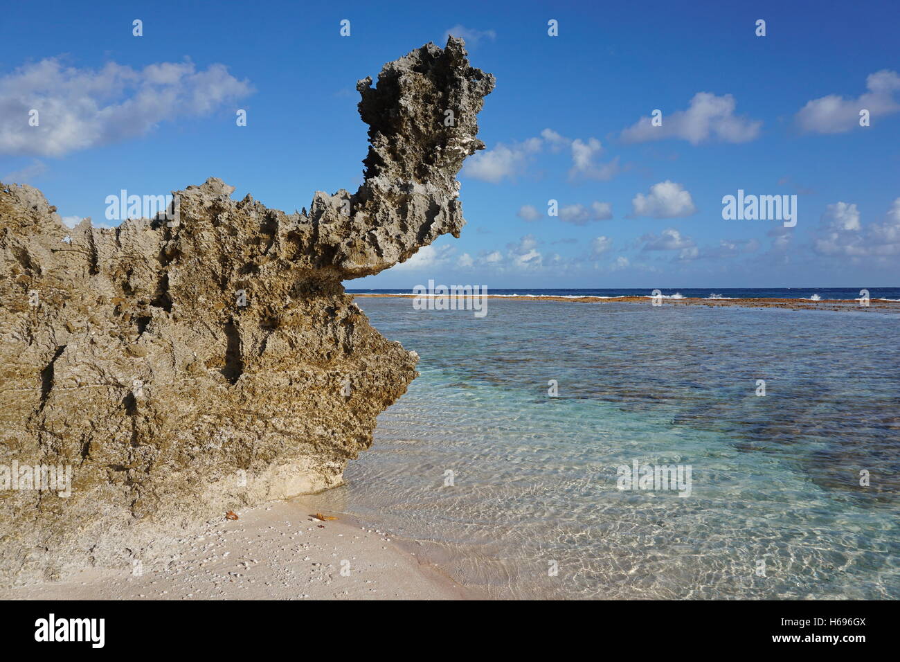 Roccia erosa formazione sulla riva del mare, atollo di Tikehau, Arcipelago Tuamotu, Polinesia francese, oceano pacifico Foto Stock
