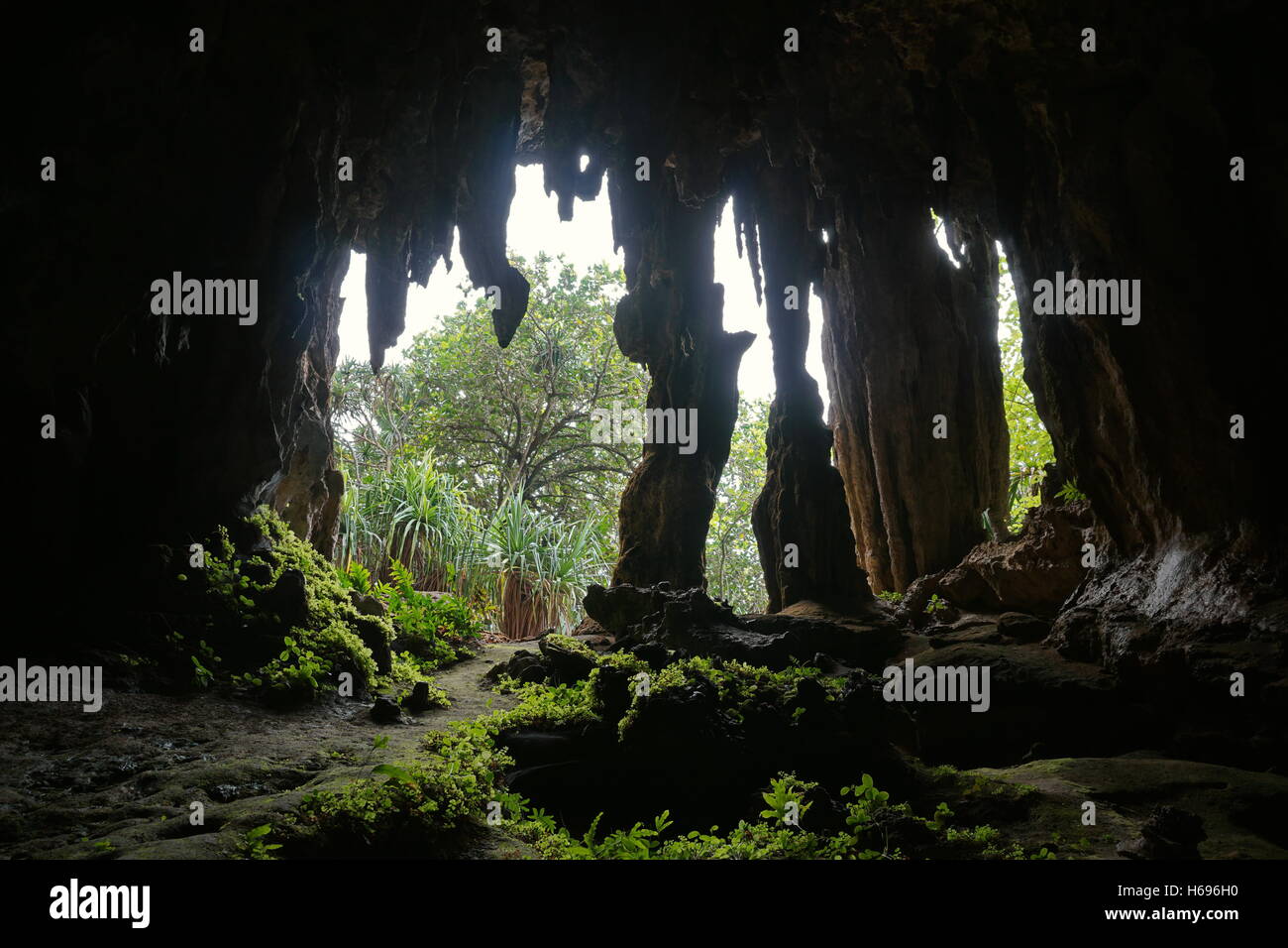 Uscire da una grotta di pietra calcarea con stalattiti e stalagmiti, Rurutu Island, South Pacific, Austral arcipelago, Polinesia Francese Foto Stock