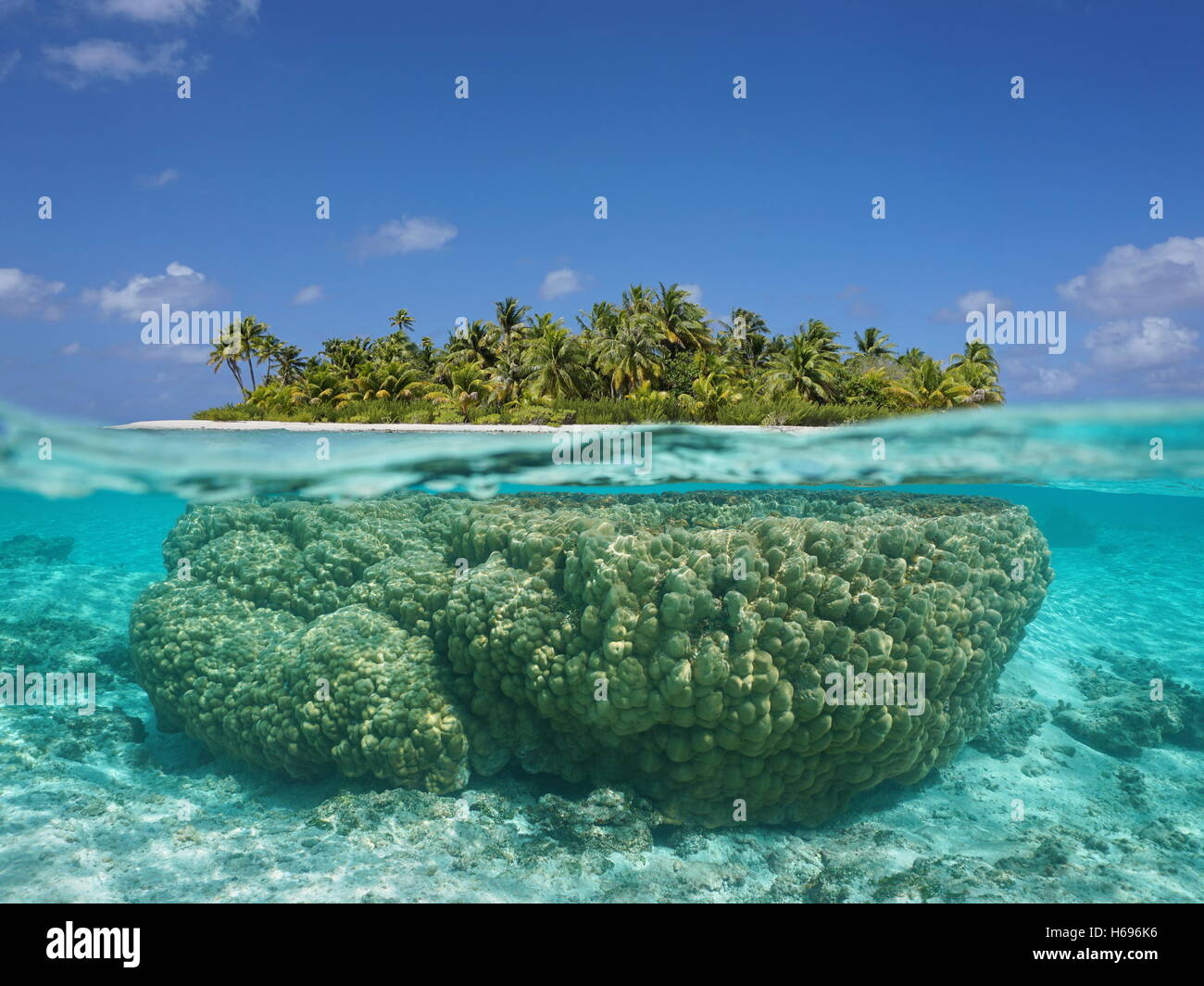 Isola tropicale al di sopra e subacquea con corallo al di sotto della superficie del mare, atollo di Tikehau, Tuamotu, Polinesia francese, oceano pacifico Foto Stock