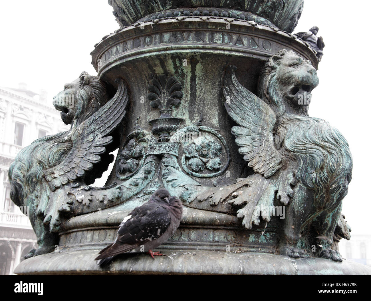 Un piccione dozes accanto a leoni alati, il simbolo di Venezia, su un Pilastro in piazza San Marco Foto Stock