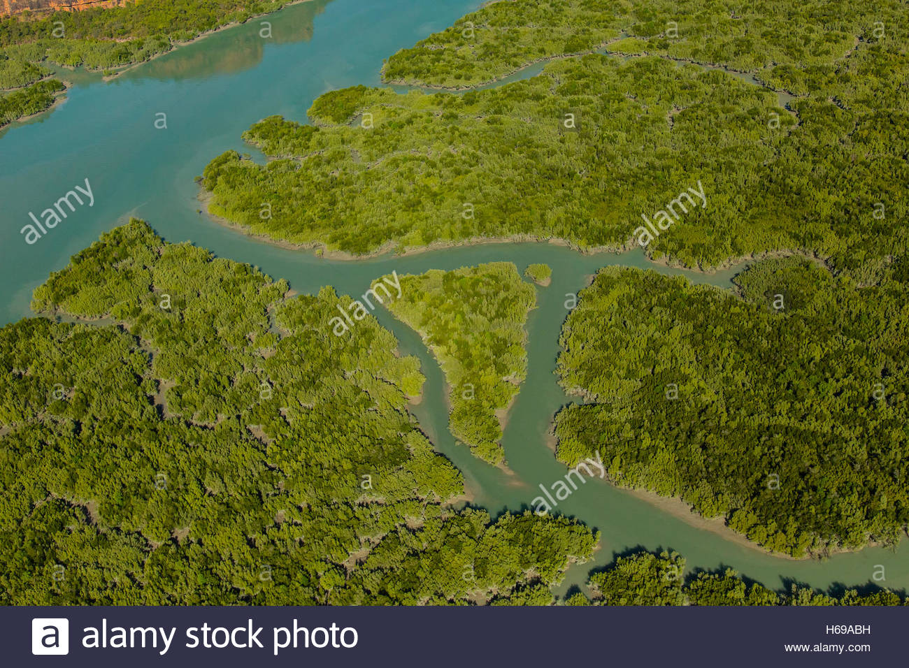 Una veduta aerea della foresta di mangrovie vicino a Mitchell cade nella regione di Kimberley di nord-ovest dell'Australia. Foto Stock