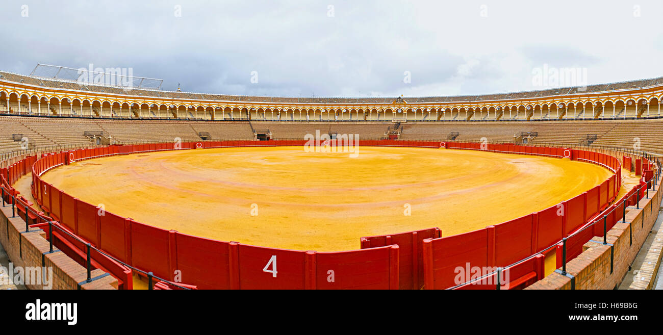 Plaza de toros de la Real Maestranza de Caballeria Foto Stock