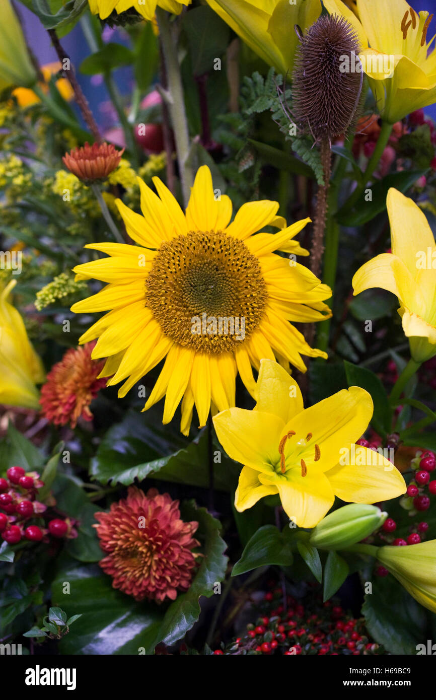 Una disposizione di fiori d'autunno. Foto Stock