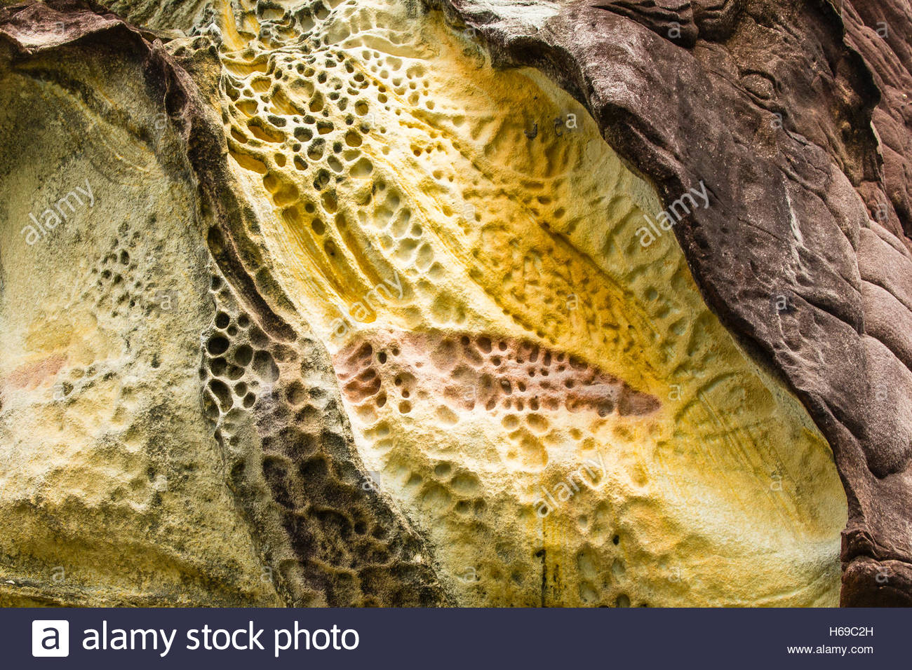 Chiudere fino a nido d'ape agli agenti atmosferici e agli anelli di Liesegang. Foto Stock