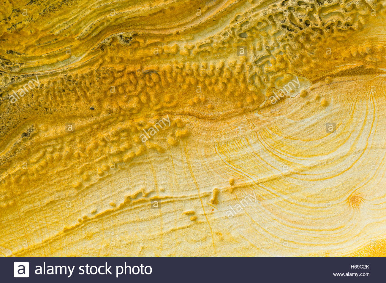 Chiudere fino a nido d'ape agli agenti atmosferici e agli anelli di Liesegang. Foto Stock