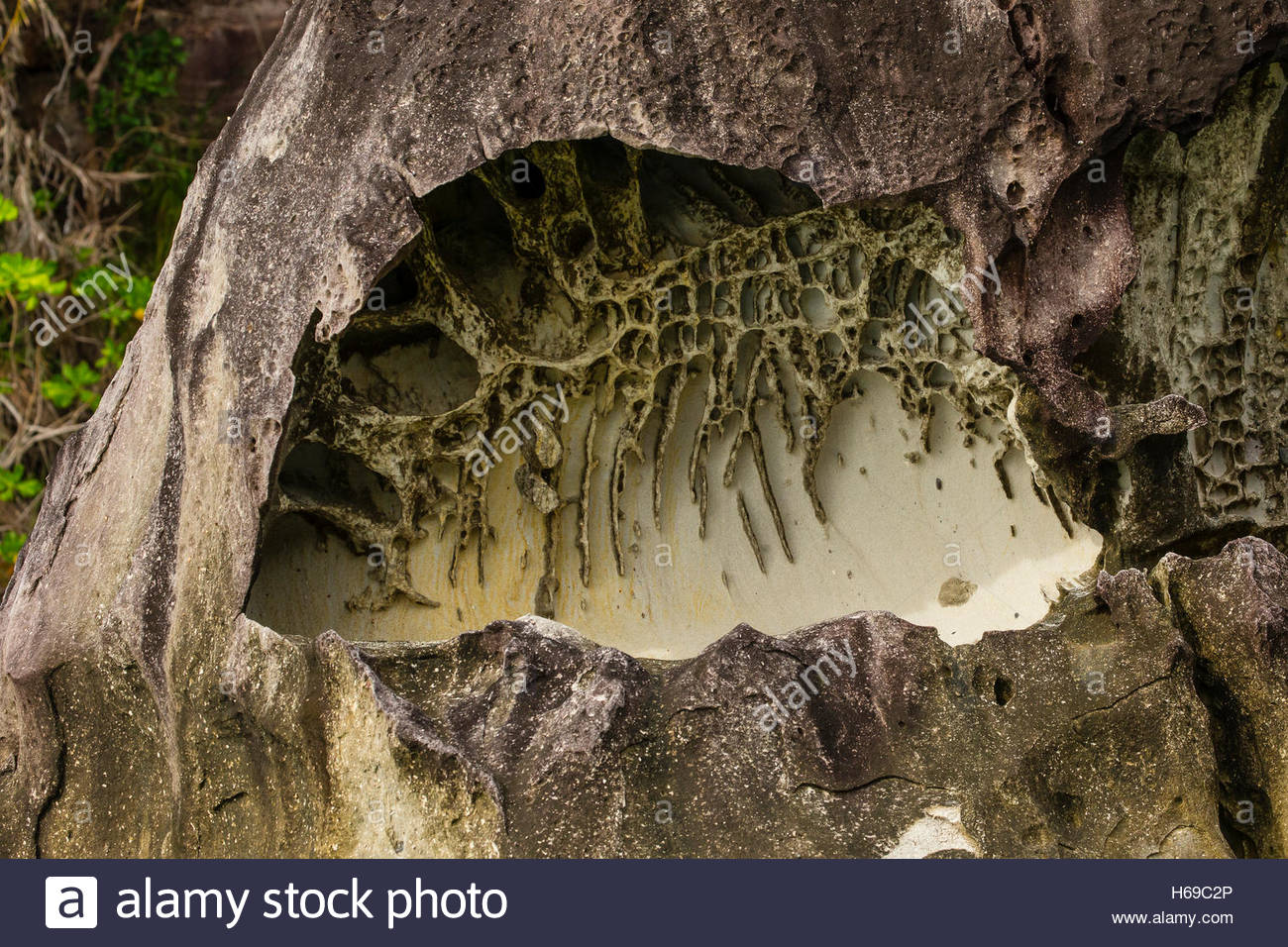 Chiudere fino a nido d'ape agli agenti atmosferici e agli anelli di Liesegang. Foto Stock