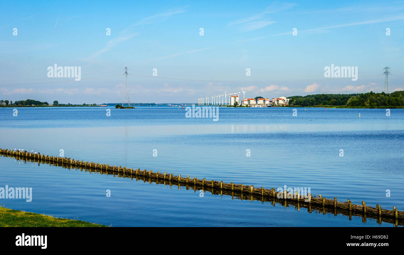 Il santuario degli uccelli di Veluwemeer con reed e foreste lungo la Riva sotto il cielo blu vicino alla città di Nijkerk in Olanda Foto Stock