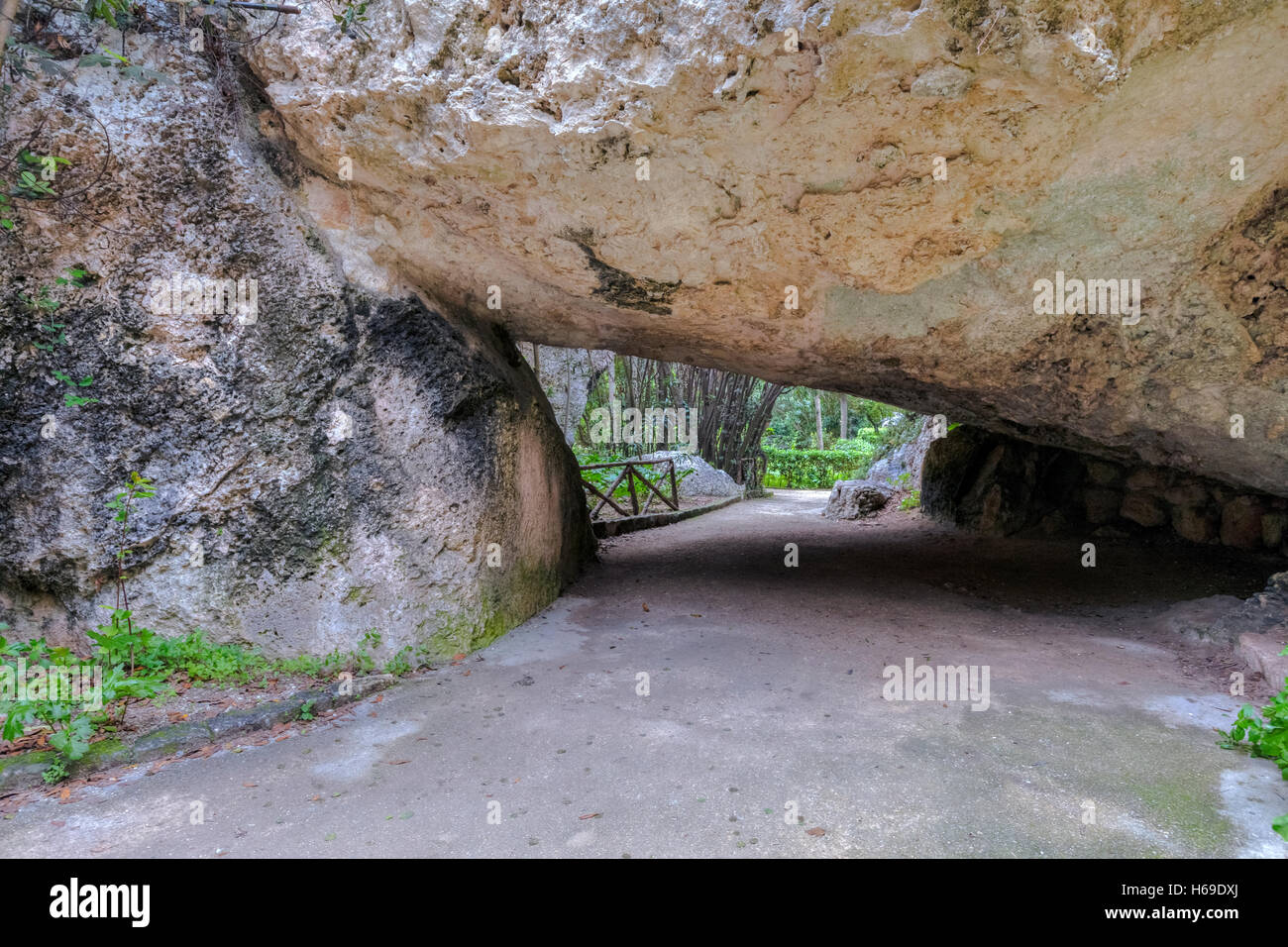 Latomia del Paradiso, il Parco Archeologico della Neapolis, Siracusa, Sicilia, Italia Foto Stock