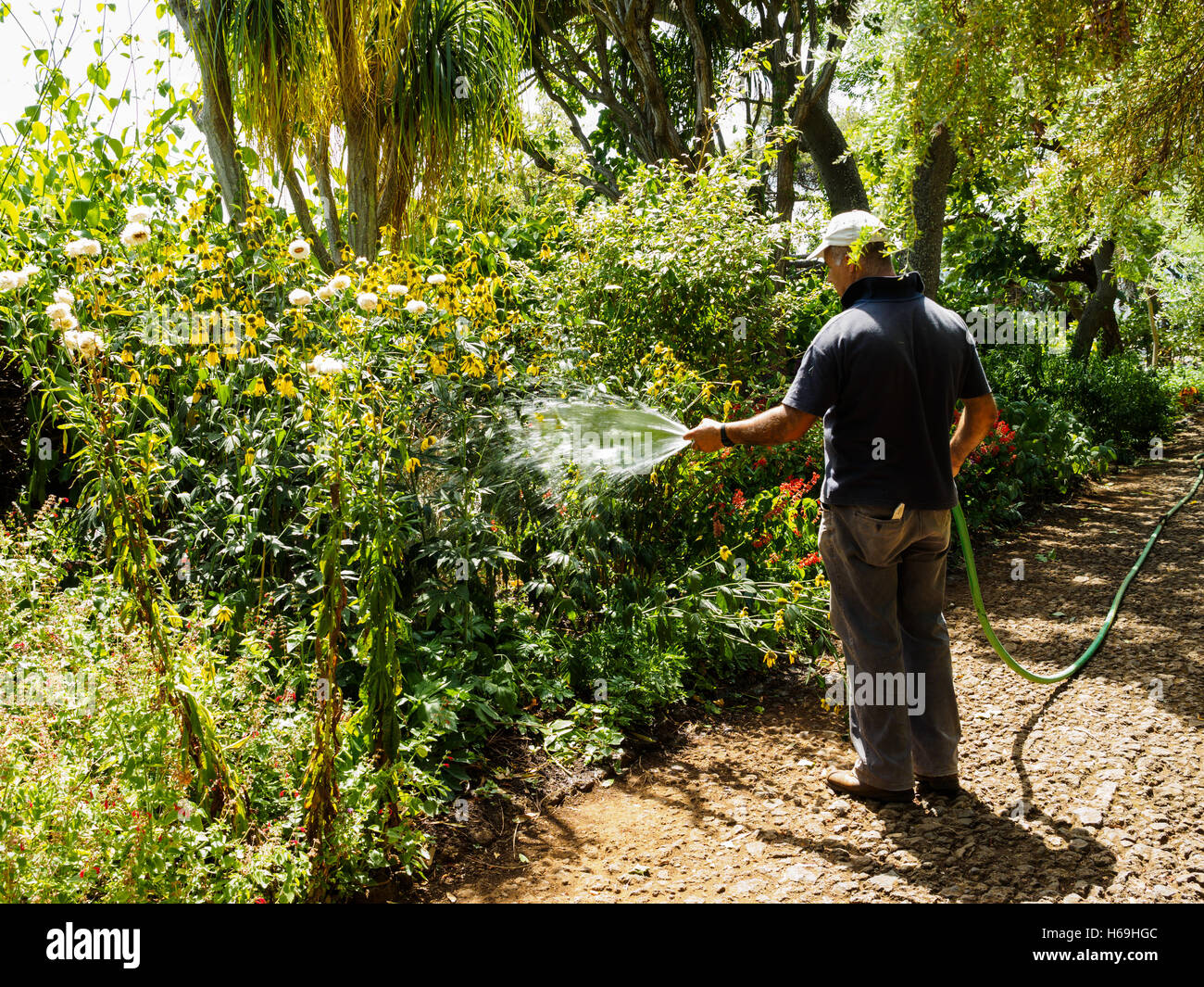 Un giardiniere acque alcuni fiori in Madeira giardino botanico di Funchal sull'isola portoghese di Madeira Foto Stock