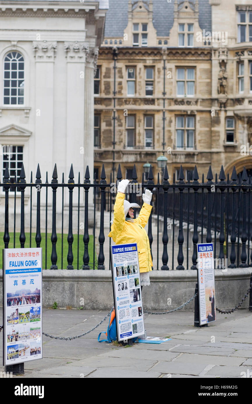 Meditando femmina petizioni contro la raccolta di organo di atrocità perpetrate in Cina esposto Foto Stock