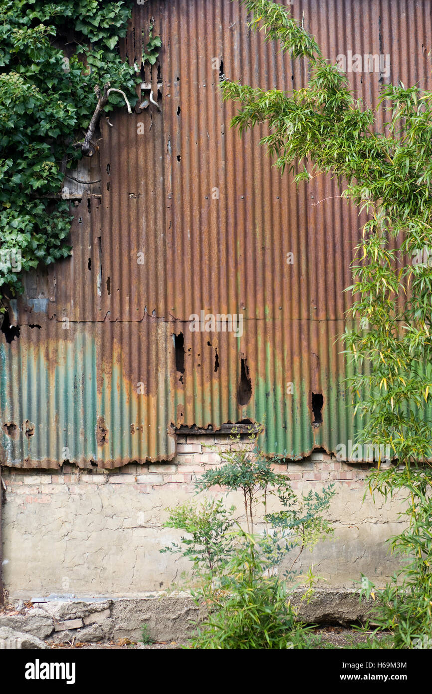 Il vecchio marciume ondulato in ferro zincato edificio Foto Stock