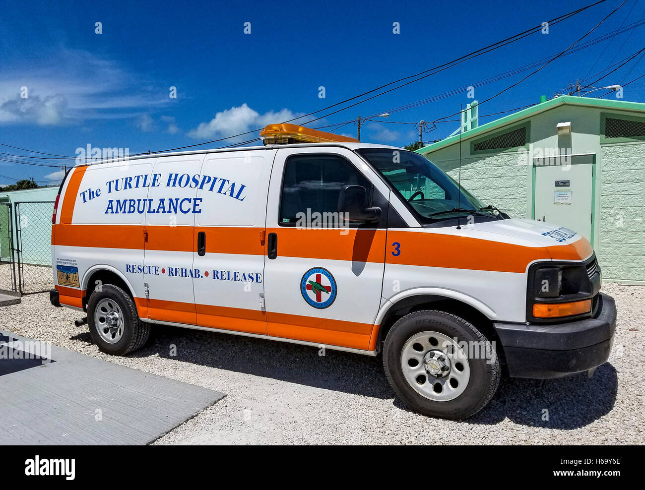 Ambulanza che preleva le tartarughe feriti per la tartaruga ospedale di maratona, Florida. Salvataggio, rehab e rilasciare Foto Stock