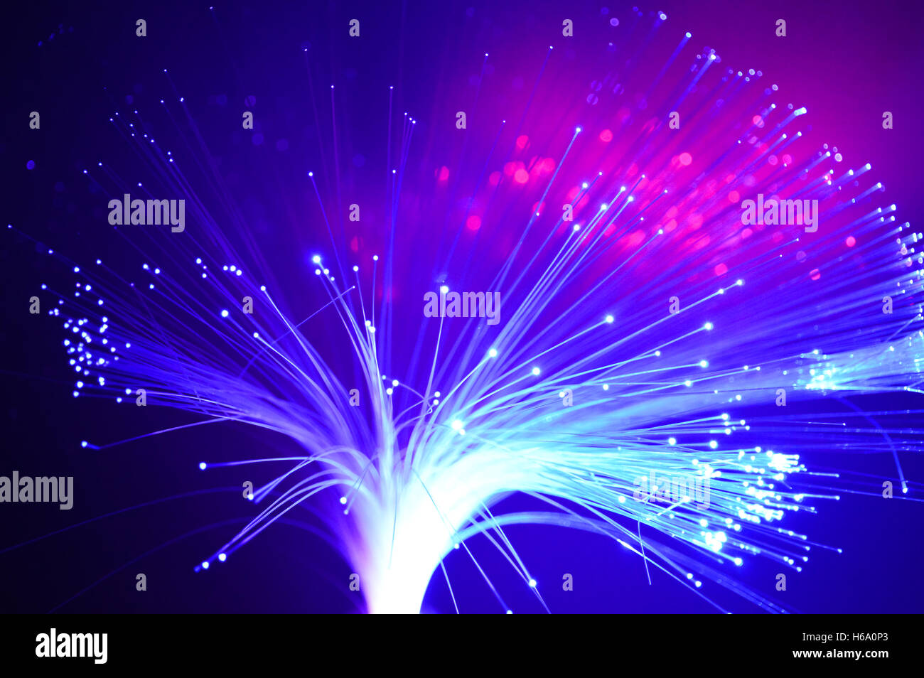 Colorata blu brillante e luci viola. Foto Stock