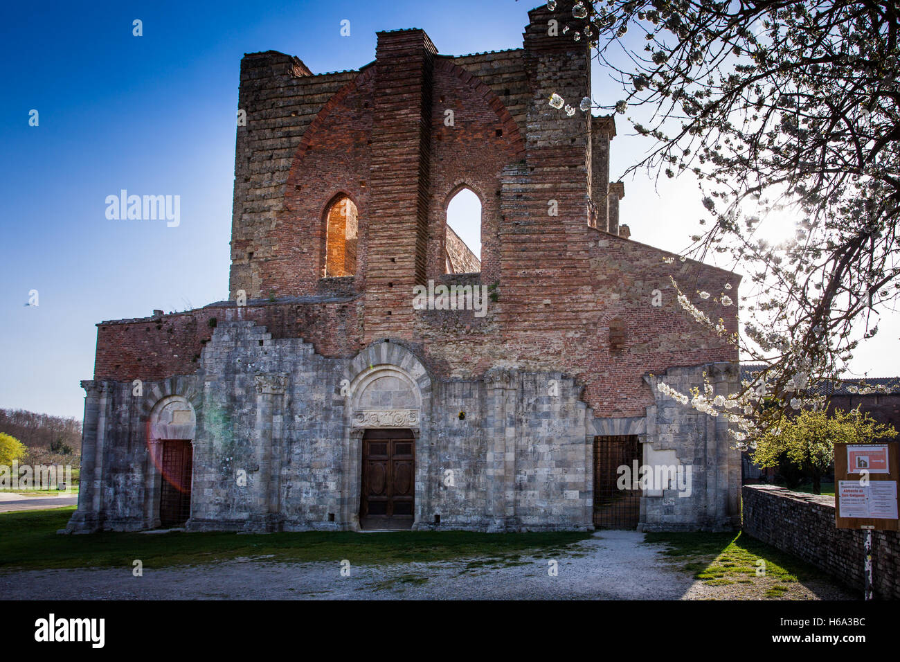 Gotico stile cistercense dell Abbazia di San Galgano in provincia di Siena, Chiusdino, Toscana, Italia Foto Stock