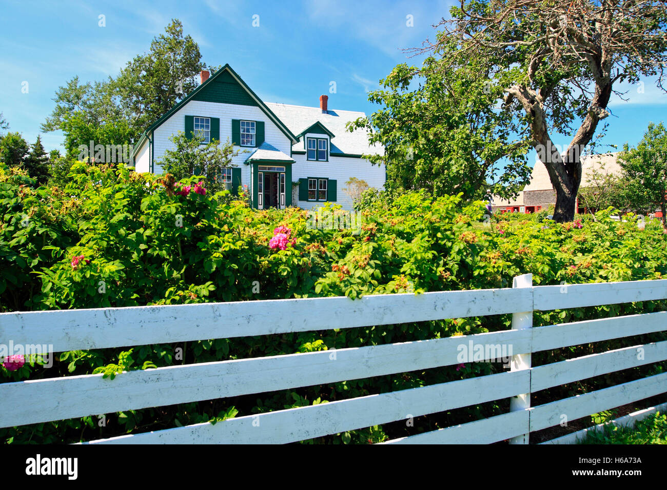 Il Green Gables heritage house, Cavendish, Prince Edward Island, Canada Foto Stock