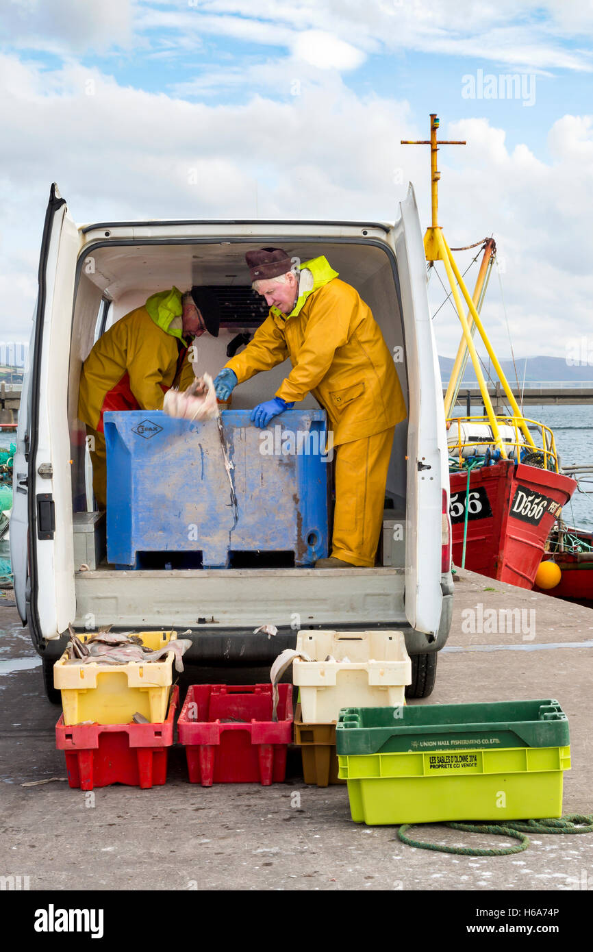 Ordinamento dei pescatori pesca del giorno. Portmagee, anello di Kerry, Irlanda Foto Stock