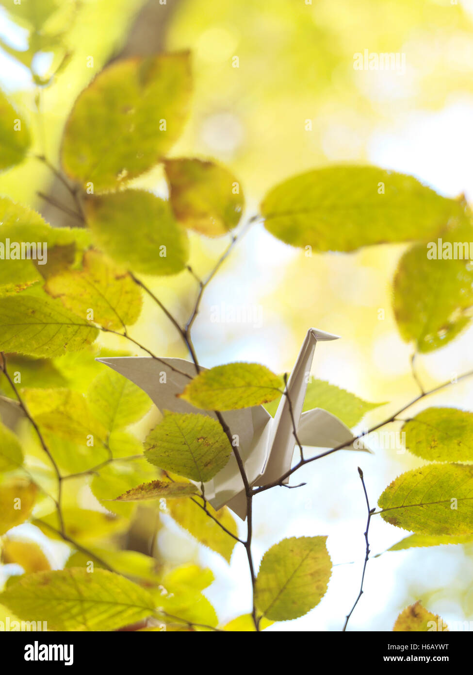 Carta Origami gru seduto su un ramo in autunno la natura Foto Stock