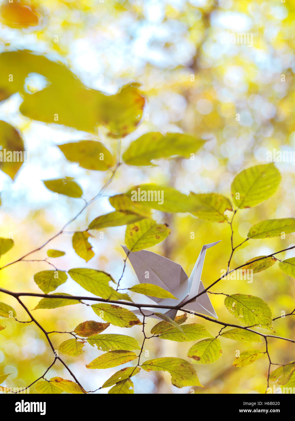 Carta Origami gru seduto su un ramo con foglie di giallo in autunno la natura Foto Stock